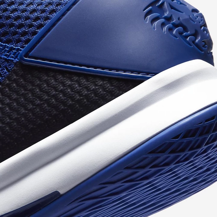 Nike LeBron Kosárlabda Cipő Férfi Mélykirálykék Kék Kék Platina Fehér | HU4257030
